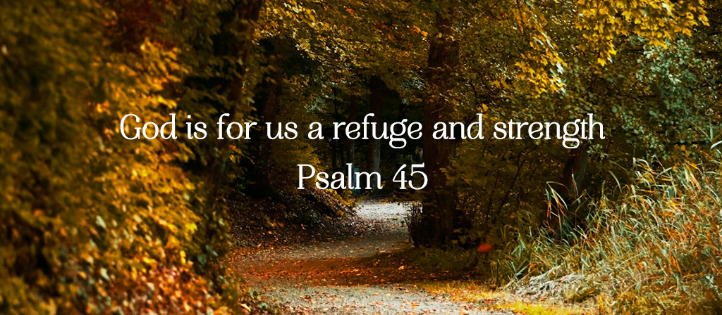 The Dedication of the Lateran Basilica