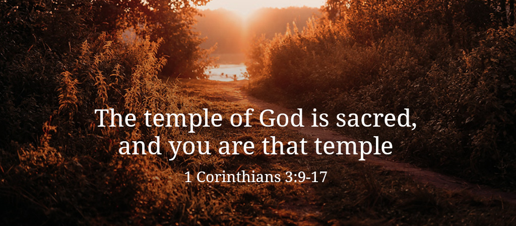 The Dedication of the Lateran Basilica