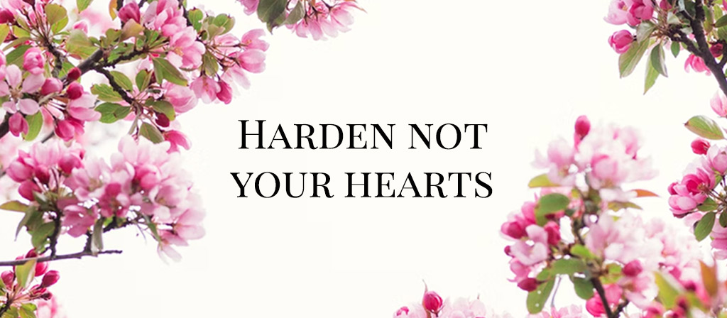 Third Sunday of Lent