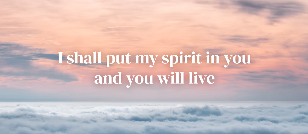 Fifth Sunday of Lent