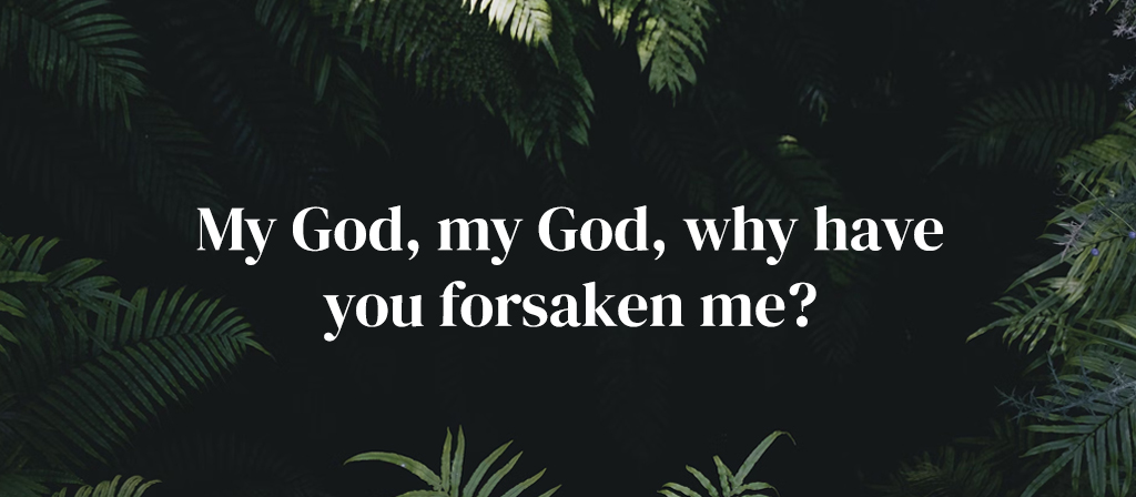 Palm Sunday of the Lord's Passion