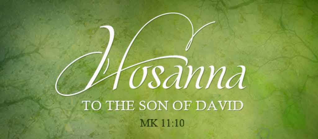 Palm Sunday of the Lord's Passion