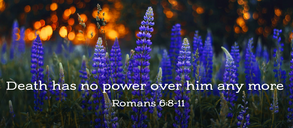 Thirteenth Sunday in Ordinary Time