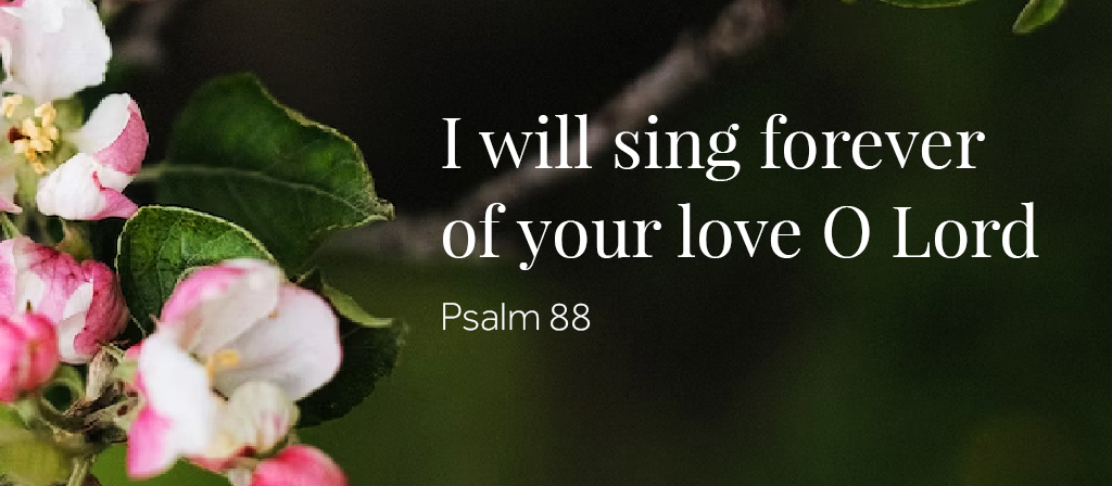 Thirteenth Sunday in Ordinary Time