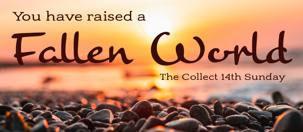 Fourteenth Sunday in Ordinary Time