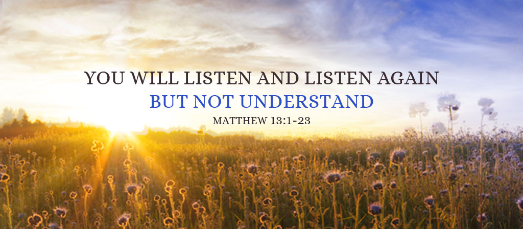 Fifteenth Sunday in Ordinary Time