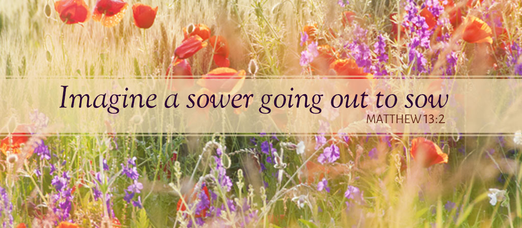 Fifteenth Sunday in Ordinary Time