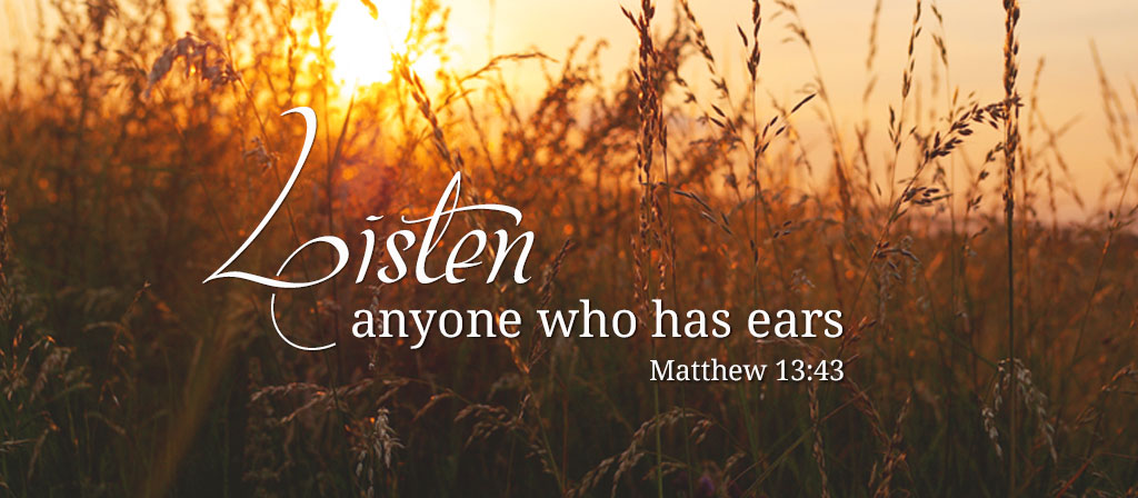 Sixteenth Sunday in Ordinary Time