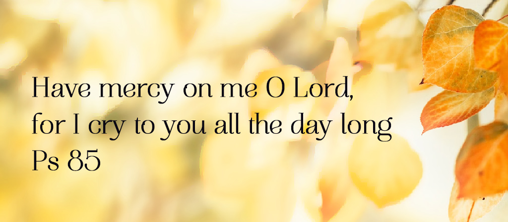 Twenty-Second Sunday in Ordinary Time