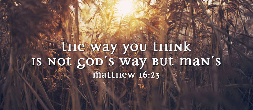 Twenty-Second Sunday in Ordinary Time